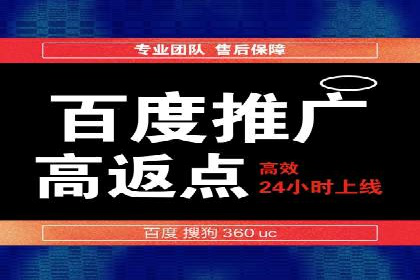 成功SEM代理案例：精准投放的策略